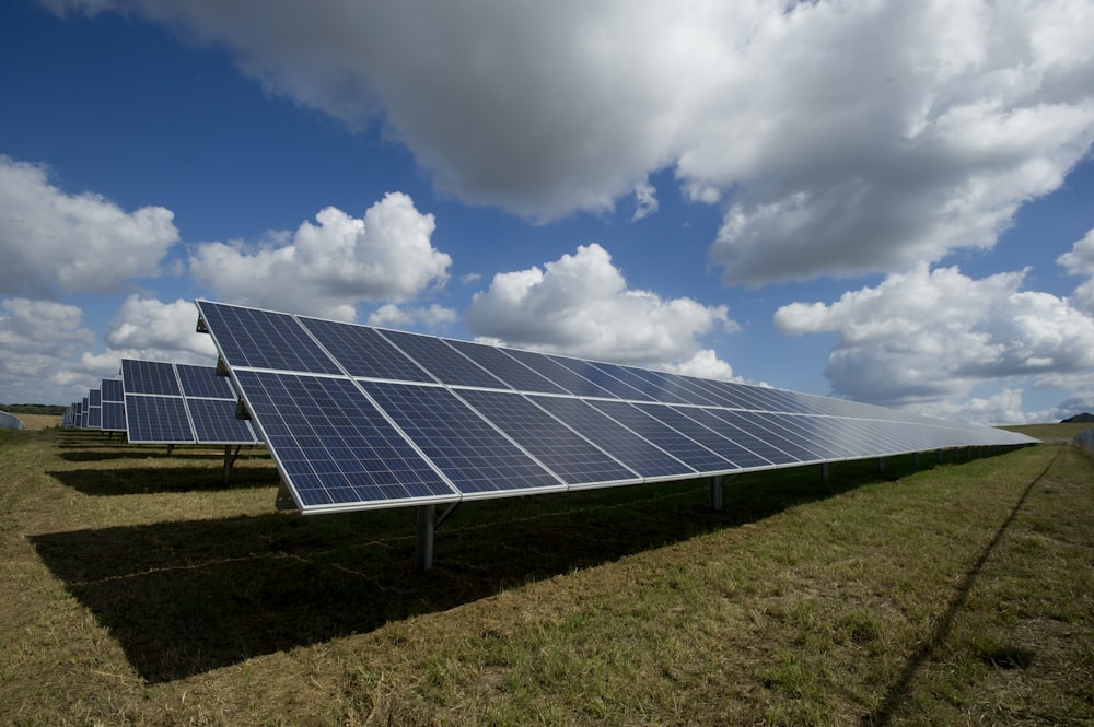 Sustainability & ESG Advisory