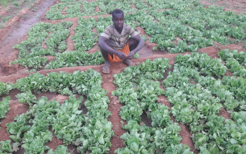 Solar Irrigation