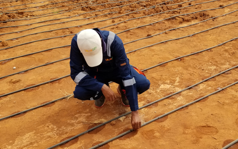 Smallholder Drip Irrigation Project